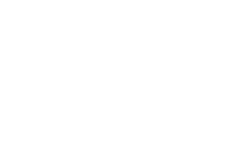 Aegis Financial